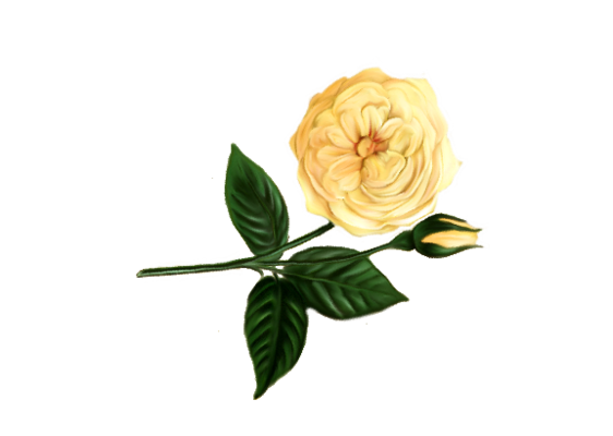 Spring Flowers, Autumn Leaves, Grapes Glorie Rose Artwork