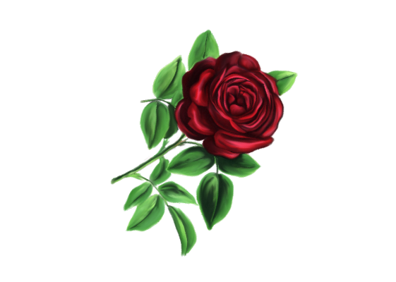 Spring Flowers, Autumn Leaves, Grapes Lamotte Rose Artwork