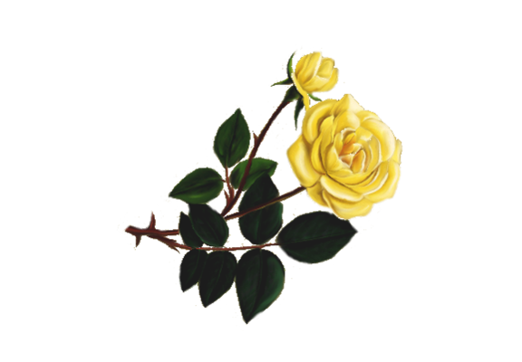 Spring Flowers, Autumn Leaves, Grapes Perrier Rose Artwork