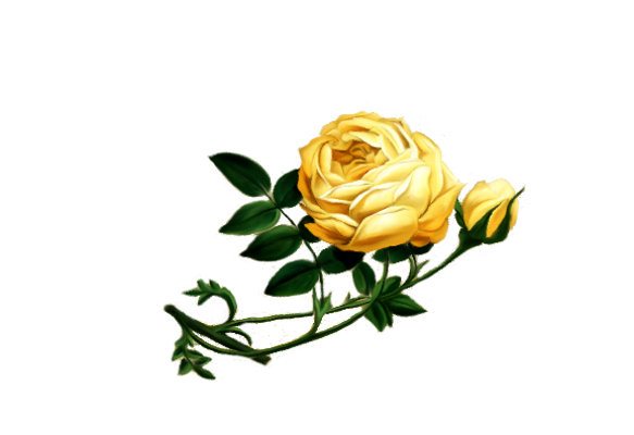 Spring Flowers, Autumn Leaves, Grapes Superb Rose Artwork