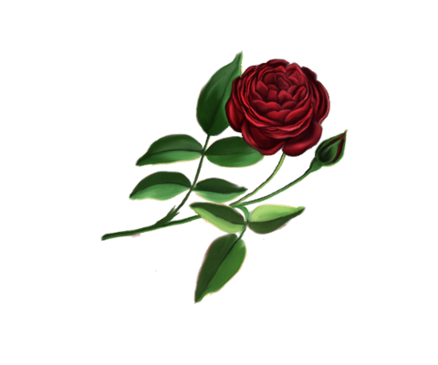 Spring Flowers, Autumn Leaves, Grapes Superior Rose Artwork