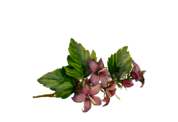 Spring Flowers, Autumn Leaves, Grapes Freesia Artwork