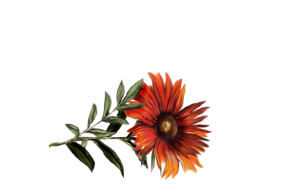 Spring Flowers, Autumn Leaves, Grapes Gerbera Daisy (orange) Artwork