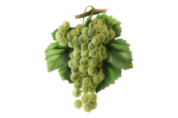 Spring Flowers, Autumn Leaves, Grapes Grapes Artwork