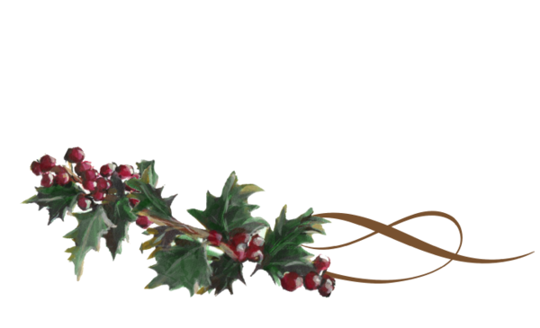 Winter and Holiday Holly Swirl 3 Artwork