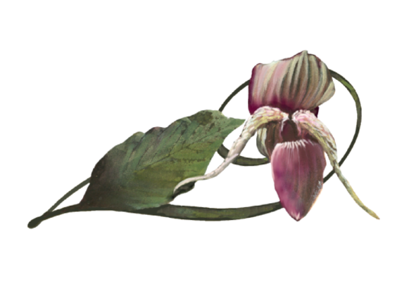 Spring Flowers, Autumn Leaves, Grapes Hyacinth Orchid Artwork