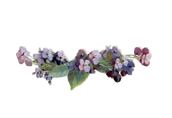 Spring Flowers, Autumn Leaves, Grapes Hydrangea Flourish Flower Painting Illustration Artwork