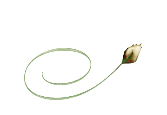 Spring Flowers, Autumn Leaves, Grapes Ivory Rose Bud Artwork