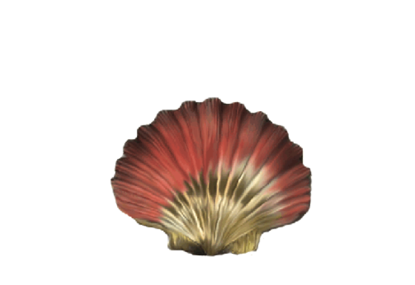 Seashells, Fish, and Beach Kittenpaw Shell Artwork