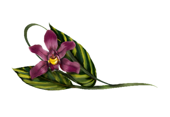 Spring Flowers, Autumn Leaves, Grapes Laelia Violet Orchid Artwork