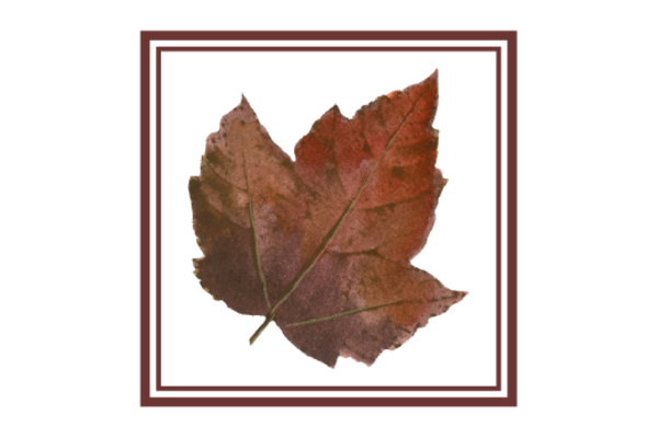 Spring Flowers, Autumn Leaves, Grapes Leaf Flourish 01 Artwork