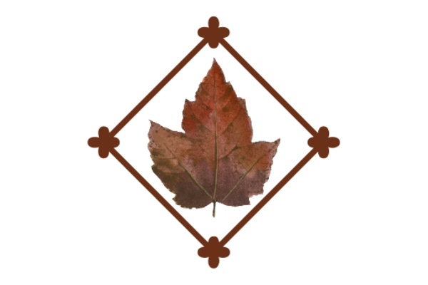 Spring Flowers, Autumn Leaves, Grapes Leaf Flourish 02 Artwork