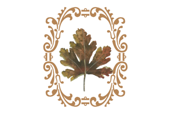 Spring Flowers, Autumn Leaves, Grapes Leaf Flourish 04 Artwork