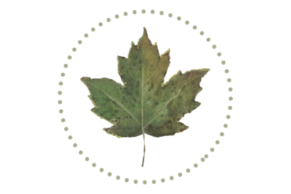 Spring Flowers, Autumn Leaves, Grapes Leaf Flourish 09 Artwork