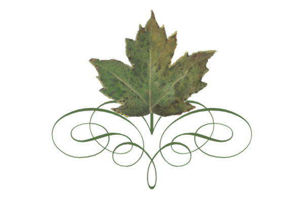 Spring Flowers, Autumn Leaves, Grapes Leaf Flourish 13 Artwork