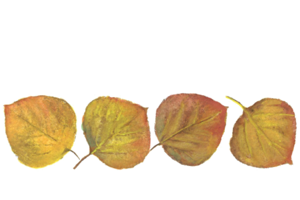 Spring Flowers, Autumn Leaves, Grapes Leaf Pattern 10 Artwork