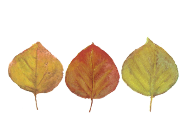 Spring Flowers, Autumn Leaves, Grapes Leaf Pattern 11 Artwork
