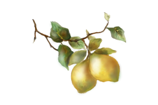 Spring Flowers, Autumn Leaves, Grapes Lemons Artwork