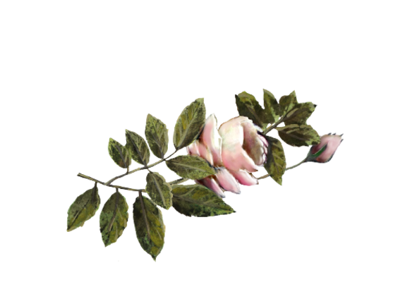 Spring Flowers, Autumn Leaves, Grapes Light Pink Rose Artwork
