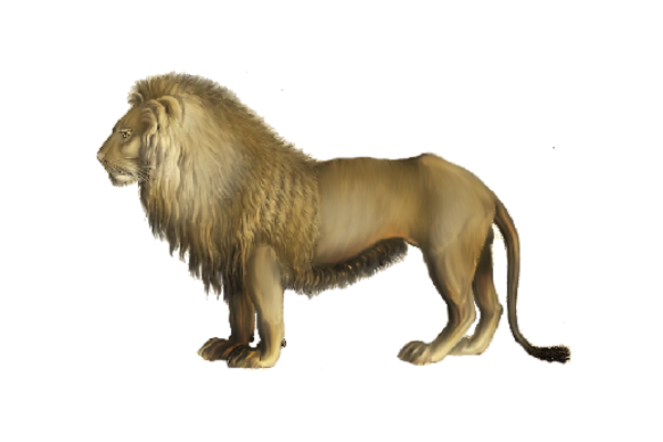 Spring Flowers, Autumn Leaves, Grapes Lion Artwork