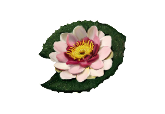Spring Flowers, Autumn Leaves, Grapes Lotus Artwork
