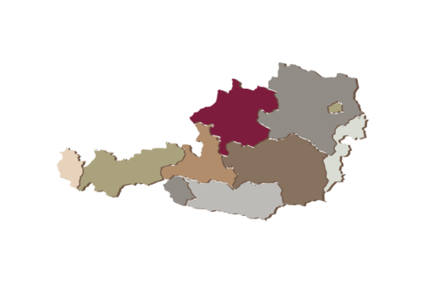 Cultural Illustrations Map of Austria Artwork