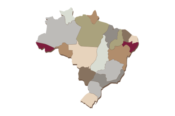 Cultural Illustrations Map of Brazil Artwork