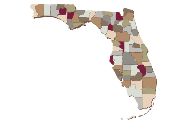 Cultural Illustrations Map of Florida Artwork