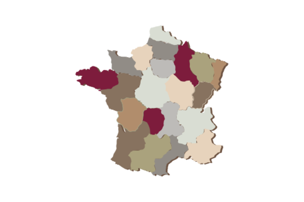 Cultural Illustrations Map of France Artwork
