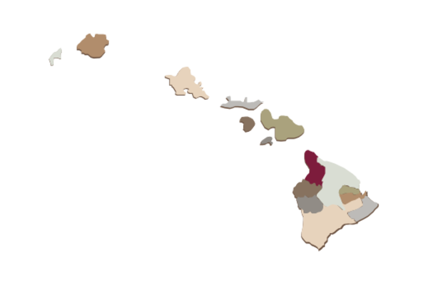 Cultural Illustrations Map of Hawaii Artwork