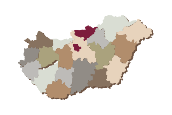 Cultural Illustrations Map of Hungary Artwork