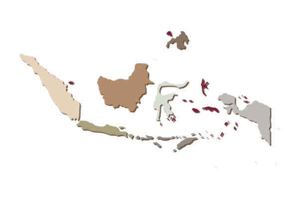 Cultural Illustrations Map of Indonesia Artwork
