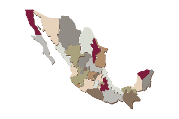 Cultural Illustrations Map of Mexico Artwork