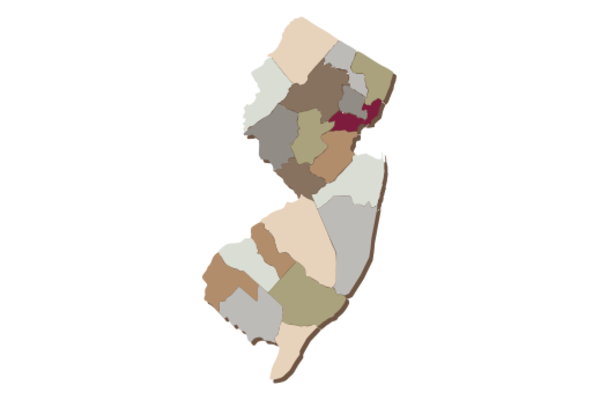 Cultural Illustrations Map of New Jersey Artwork