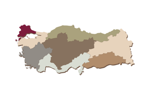 Cultural Illustrations Map of Turkey Artwork