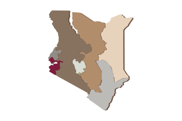 Cultural Illustrations Map of Uganda Artwork