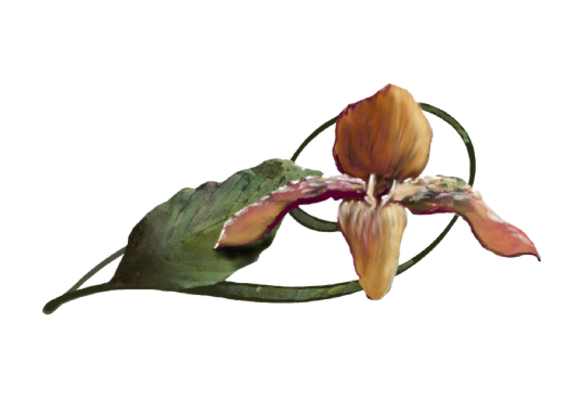 Spring Flowers, Autumn Leaves, Grapes Mokara Orchid Artwork