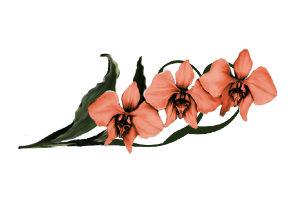 Spring Flowers, Autumn Leaves, Grapes Moon Orchid (coral) Artwork