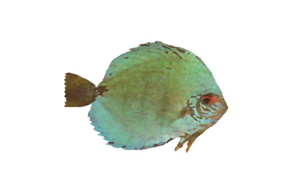 Seashells, Fish, and Beach Mr. Teal Artwork