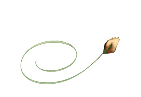 Spring Flowers, Autumn Leaves, Grapes Orange Rose Bud Artwork