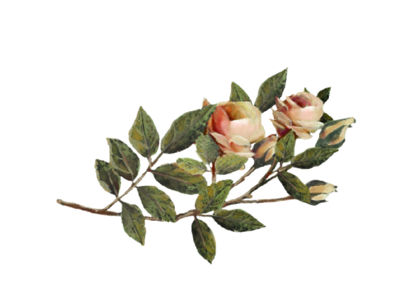 Spring Flowers, Autumn Leaves, Grapes Orange Rose Artwork