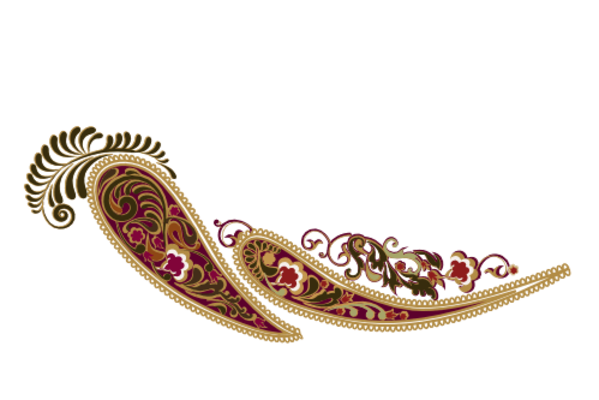 Cultural Illustrations Paisley 14 Artwork