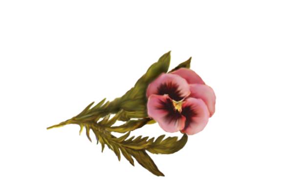 Spring Flowers, Autumn Leaves, Grapes Pansies (pink) Artwork