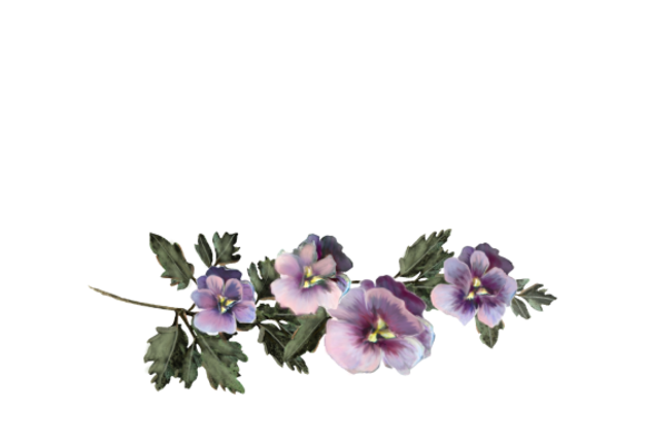 Spring Flowers, Autumn Leaves, Grapes Pansies (purple) Artwork