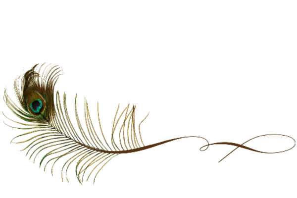 Birds and Butterflies Peacock Feather 03 Artwork