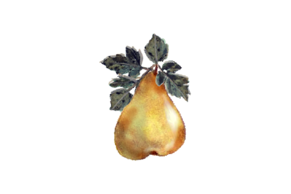 Spring Flowers, Autumn Leaves, Grapes Pear Artwork