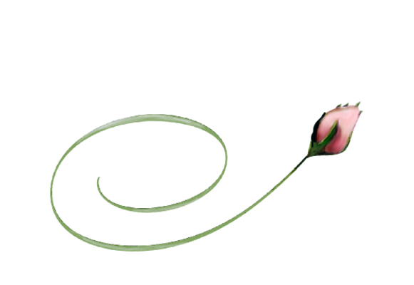 Spring Flowers, Autumn Leaves, Grapes Pink Rose Bud Artwork