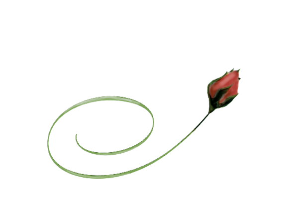 Spring Flowers, Autumn Leaves, Grapes Red Rose Bud Artwork