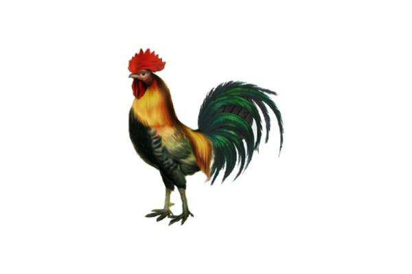 Spring Flowers, Autumn Leaves, Grapes Rooster Artwork