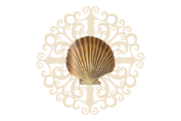 Seashells, Fish, and Beach Seashell Flourish 01 Artwork